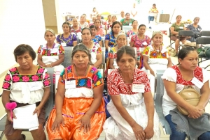 El Fondo de Poblaci&oacute;n de Naciones Unidas comparte experiencias con parteras de Hidalgo
