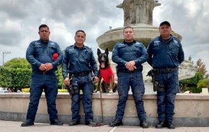 Polic&iacute;a Violeta fortalece acciones de prevenci&oacute;n&nbsp;
