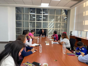 Vecinos de colonias y fraccionamientos de Mineral de la Reforma exponen problem&aacute;ticas ante la diputada Hilda Miranda