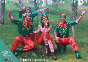 Magia Navide&ntilde;a en el Bosque,&nbsp;&nbsp;&nbsp; en Estanzuela, Mineral del Chico, Pueblo M&aacute;gico