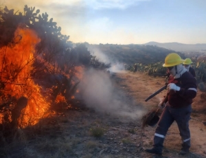 Actualizaci&oacute;n de incendios forestales en el estado
