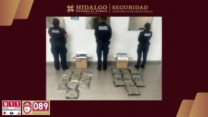SSPH intercepta cargamento con m&aacute;s de 10 kilos de marihuana