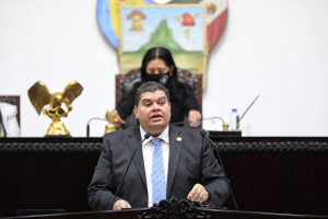 Iniciativa en contra de&nbsp; actos de violencia de algunos elementos de seguridad publica en cualquier regi&oacute;n del estado: GLPRI