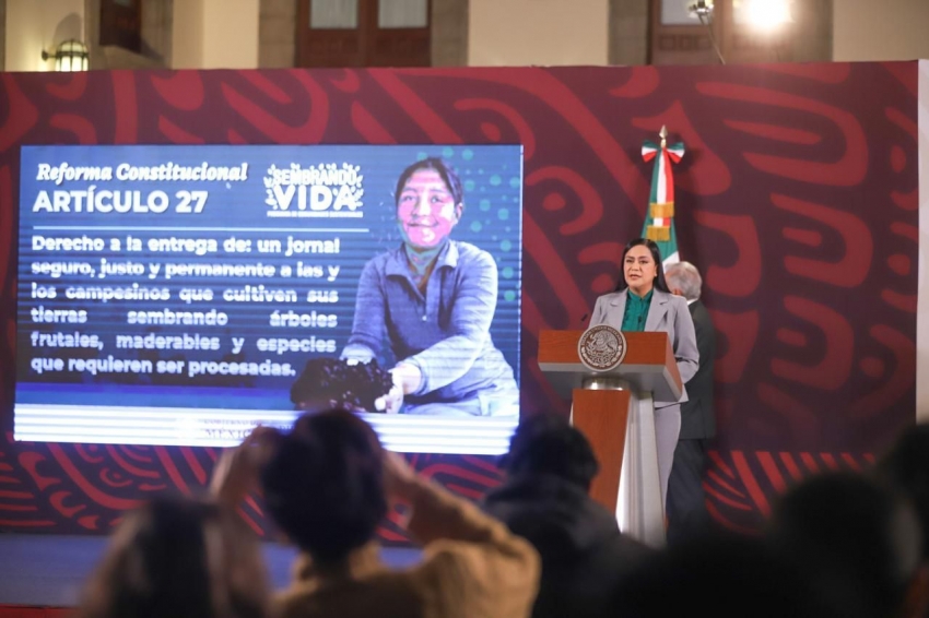 Presenta la secretaria Ariadna Montiel iniciativa de reforma para elevar a rango constitucional el programa Sembrando Vida