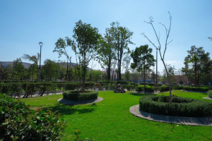 Avanza transformaci&oacute;n del Jard&iacute;n de los Hombres y las Mujeres Ilustres