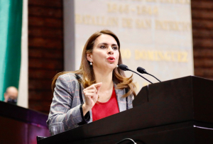 Impulsa diputada priista Carolina Viggiano que suministro de energ&iacute;a el&eacute;ctrica sea un derecho garantizado e irrenunciable  &nbsp;