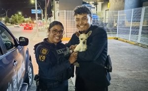 &nbsp;Interviene Unidad K9 para auxiliar a perro extraviado en bulevar Felipe &Aacute;ngeles