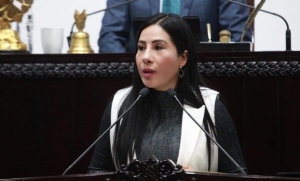 Diputados proponen reforzar la protecci&oacute;n de denunciantes en Hidalgo