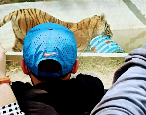 La Unidad en Pachuca, es el &uacute;nico centro de M&eacute;xico con protocolos y biosimuladores para la recuperaci&oacute;n de la fauna silvestre