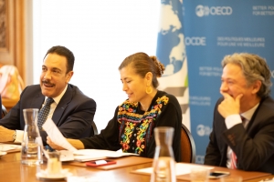 RECONOCE OCDE AVANCES DE HIDALGO  EN DIVERSOS RUBROS DE SU DESARROLLO