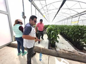 ITESHU impulsa proyectos innovadores de Maestr&iacute;a en Mecatr&oacute;nica