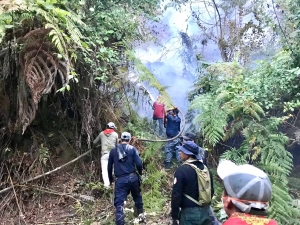 Bomberos se suman a labores para combatir&nbsp;incendio forestal