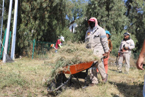 Atiende Dif Pachuca con faena el centro comunitario en barrio el lobo