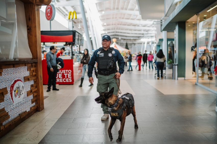 Binomios K9 y Policía Municipal fortalecen la seguridad en plazas comerciales de Pachuca