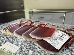 La SSH hace un llamado para incrementar la donaci&oacute;n altruista de sangre