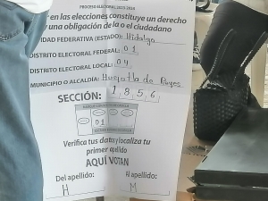 Seguimiento votaciones 2024