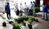 En unidad, mejoran "filtro de aire natural" sembrando plantas