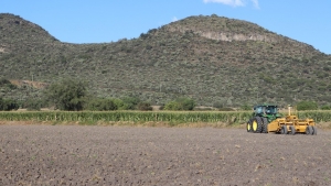 Gobierno de Hidalgo pionero en el desarrollo de aplicaci&oacute;n digital