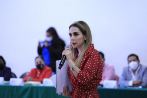 REFRENDO SEGURO 2022 OTORGA DESCUENTOS EN  TRÁMITES DE CONTROL VEHICULAR   
