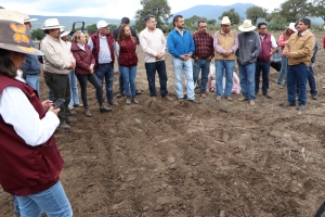 Experimenta Semarnath uso de biosólidos en zonas agrícolas de Hidalgo 