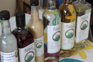 Hidalgo celebra la riqueza del maguey en Singuilucan