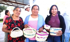 Impulsa IHM t&eacute;cnicas tradicionales como alternativa de ingreso