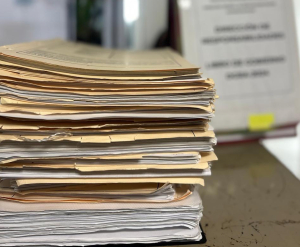 Supervisi&oacute;n en el servicio p&uacute;blico