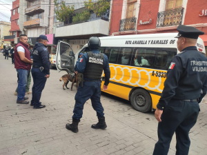 Transporte Seguro da sus primeros resultados