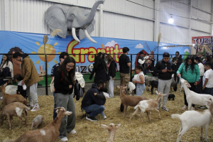 &iquest;Qu&eacute; hacer en familia este s&aacute;bado en la Feria de San Francisco Pachuca Hidalgo 2024?