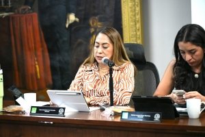 Congreso exhorta a fortalecer la atenci&oacute;n gerontol&oacute;gica