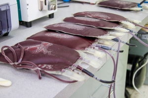 14 de junio, D&iacute;a mundial del donante de sangre 2024