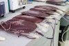 14 de junio, D&iacute;a mundial del donante de sangre 2024