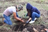 Reforestaci&oacute;n en el &Aacute;rea Natural Protegida Cerro Grande&nbsp;en el marco del Mes del Bosque