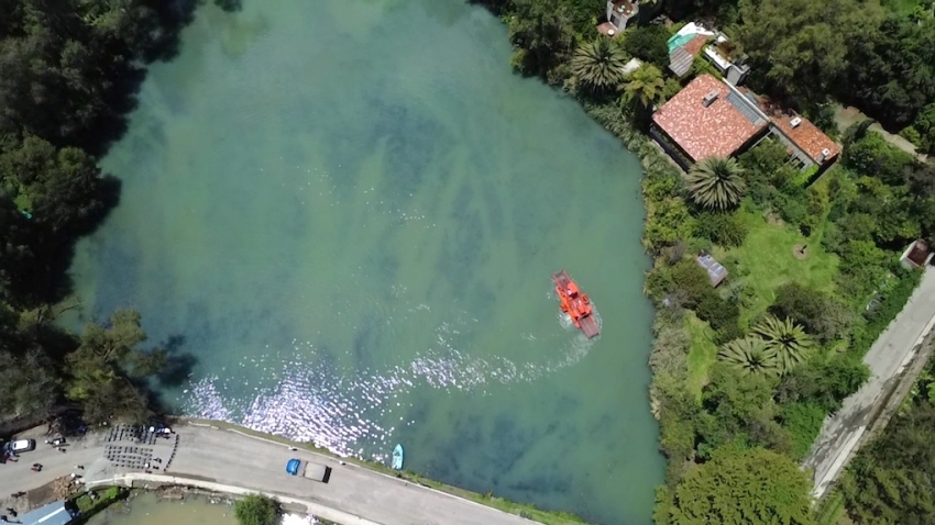 Hidalgo recupera la Presa Azul: retiran más de mil toneladas de lirio acuático en Huasca