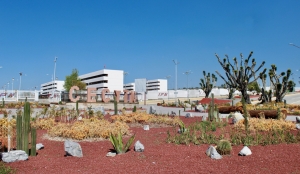 Nuevo sendero en Hidalgo acercar&aacute; la ciencia, tecnolog&iacute;a y biodiversidad a la poblaci&oacute;n
