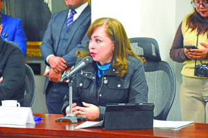 PAN en el Congreso local: urgen medidas de protecci&oacute;n ambiental en proyecto carretero Real del Monte-Huasca