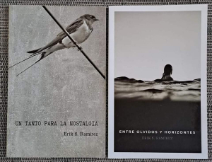 Comienza librer&iacute;a Margarita Michelena Ciclo de Poes&iacute;a este viernes