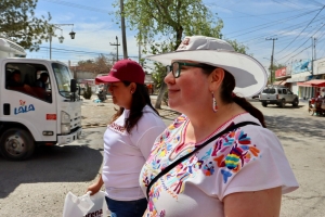 Necesarias, bibliotecas en fraccionamientos del sur de Pachuca: Tania Meza