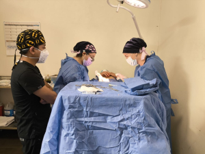 IMSS Bienestar Hidalgo promueve la salud reproductiva masculina con vasectomías sin bisturí