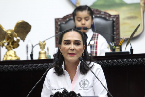 Por primera vez congreso de hidalgo analiza presupuesto con perspectiva de g&eacute;nero: Erika Rodr&iacute;guez