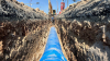 Tras modernizaci&oacute;n, inicia operaci&oacute;n l&iacute;nea de conducci&oacute;n de agua potable.
