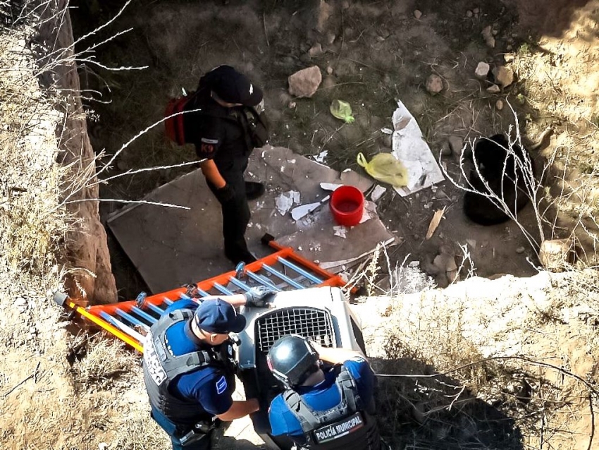 Con apoyo de drones, Seguridad Pública de Pachuca rescata a canino en La Loma