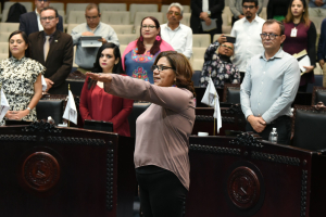 Toma protesta Mar&iacute;a del Rosario Guerrero Mart&iacute;nez en su cargo como diputada en funciones de la LXVI Legislatura