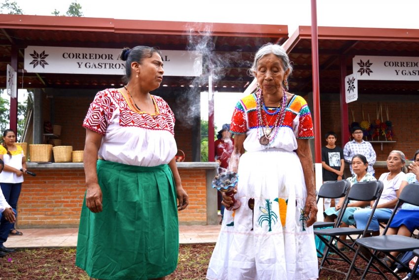 Parteras tradicionales recibirán homenaje