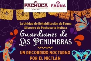 Mictl&aacute;n cobra vida en experiencia nocturna en Pachuca