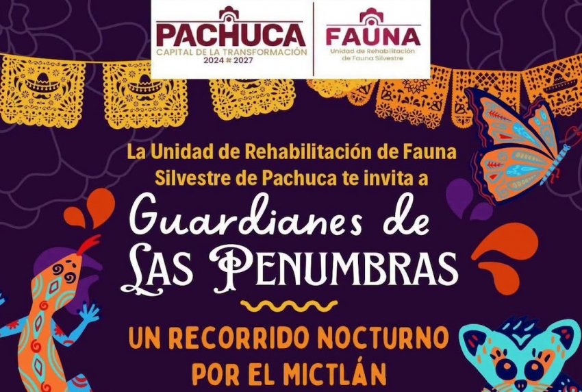 Pachuca invita a vivir una experiencia nocturna por el Mictlán en la Unidad de Fauna