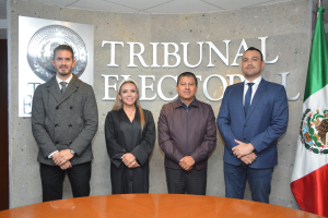 El Pleno del Tribunal emite sentencia hist&oacute;rica en la que se determina tutelarse todos y cada uno de los derechos de la comunidad LGBTTTIQA+