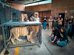 Refuerza Pachuca profesionalizaci&oacute;n en bienestar animal y conservaci&oacute;n de fauna silvestre