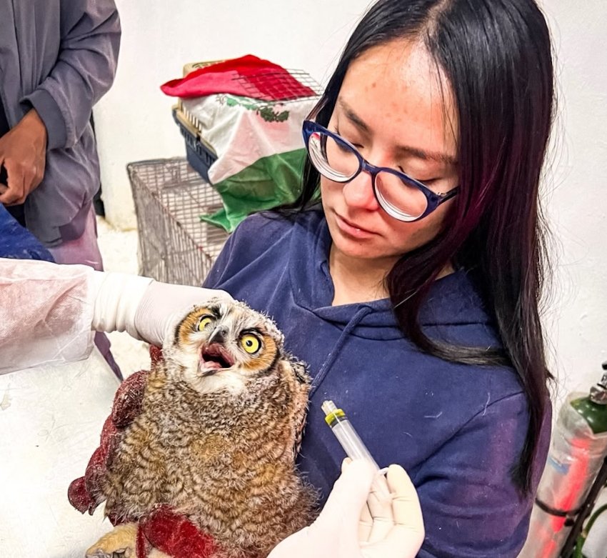 Pachuca destaca a nivel nacional con programa de formación profesional en la Unidad de Fauna