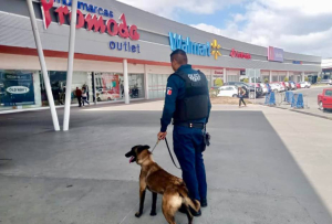 Arranca operativo Guadalupe &ndash; Reyes&nbsp;